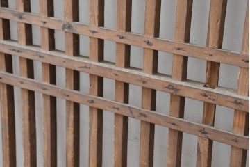 アンティーク建具　明治から大正期　木味豊かな風合いと細格子が美しい格子蔵戸1枚　(R-086496)