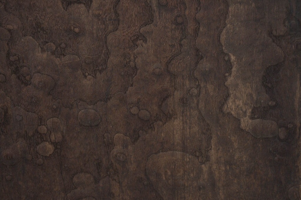 アンティーク建具　明治期　総欅(ケヤキ)材　博物館クラスの逸品!　玉杢が見事な蔵戸1枚　(R-086502)