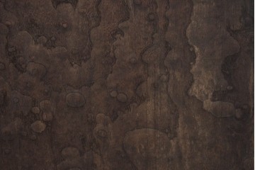 アンティーク建具　明治期　総欅(ケヤキ)材　博物館クラスの逸品!　玉杢が見事な蔵戸1枚　(R-086502)