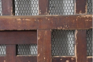 アンティーク建具　明治から大正期　歳月を感じる風格の金網入り格子くぐり戸1枚　(R-086515)