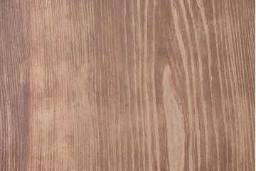 アンティーク建具　明治から大正期　超激レア!　総欅(ケヤキ)材　財を守る獅子面意匠金具が圧倒的な存在感を放つ蔵戸1枚　(R-086531)