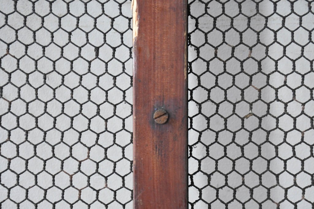 アンティーク建具　明治から大正期　漆塗り　格子と金網の組み合わせが趣あるきつね格子蔵戸1枚　(R-086537)