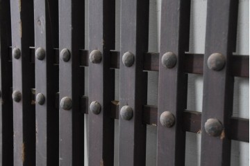 アンティーク建具　明治から大正期　繁栄祈願の唐草雲文装飾を腰板に配した背の低い格子蔵戸1枚　(R-086539)