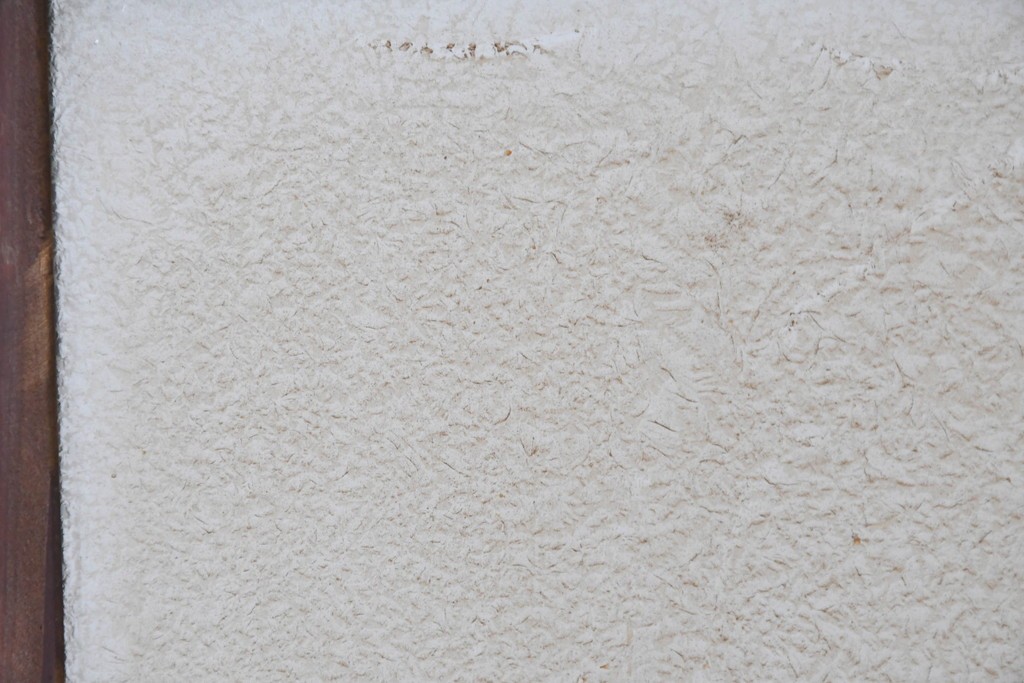 アンティーク建具　大正から昭和初期　大正ロマン　素朴な木味が魅力のガラス扉1枚　(R-086596)