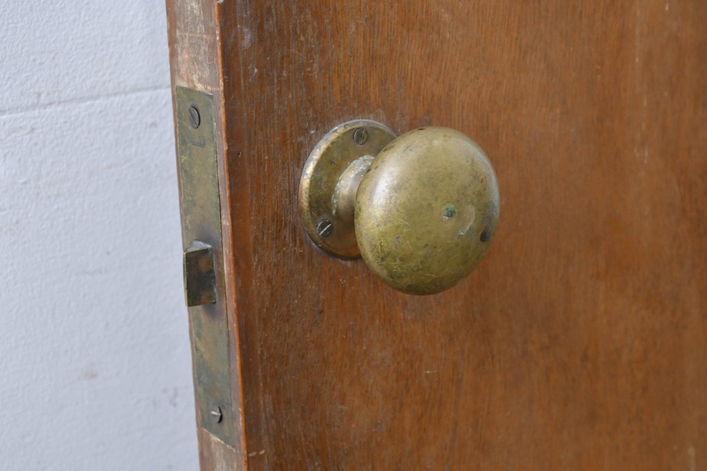 ヴィンテージ建具　昭和中期　温もりある木味のシンプルなドア1枚　(R-086597)