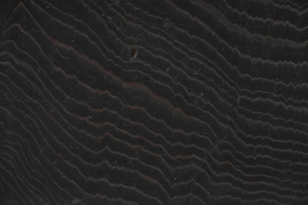 和製アンティーク　大正期から昭和初期　細やかな縦格子が美しい格子戸4枚セット　(R-086602)