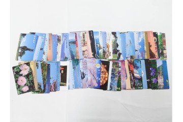 未使用　テレホンカード(50度×393/105度×57)・オレンジカード×4・クオカード×1・パスネット×1　まとめて456枚セット　額面261,850円　(R-086660)