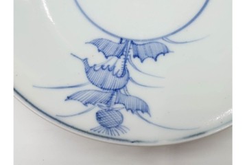 江戸期　古伊万里　染付　直径約170cm　5.6寸　薊文が上品な中皿2枚セット　(R-086665)