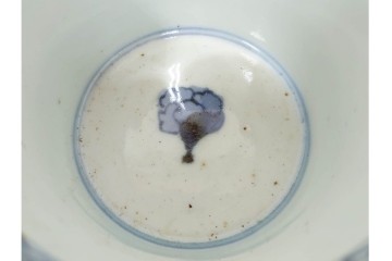 江戸期　古伊万里　染付　大ぶりの牡丹文が描かれたそば猪口2点セット　(R-086666)