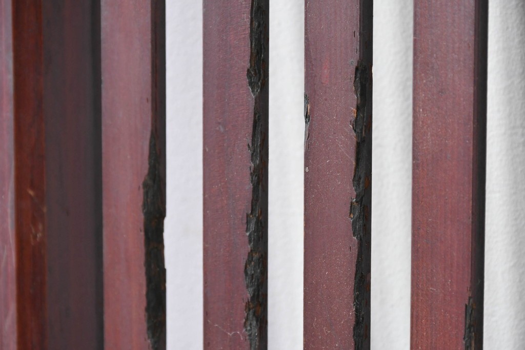 アンティーク建具　明治期から大正期　端正な佇まいの幅広格子戸1枚　(R-086686)