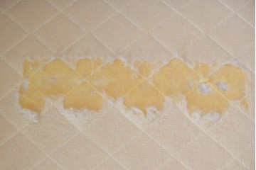 イタリアヴィンテージ　本革　彫刻×鋲打ちデザインのエレガントなサロンチェア2脚セット　(R-086708)