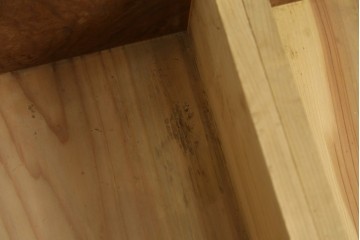 和製アンティーク　前面欅(ケヤキ)材　上杢!　違い棚付きの茶箪笥　(R-086724)