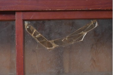 和製アンティーク　レトロな引き出し付きガラス戸棚　(R-086732)