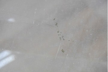 和製ヴィンテージ　希少な小振りサイズ! 　市松模様のタイルがレトロなたばこガラスケース　(R-086752)