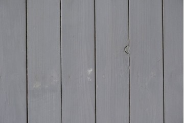 アンティーク建具　昭和初期　シャビーなペンキ仕上げの背の高い引き戸1枚　(R-086774)