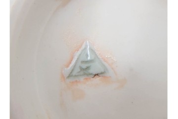 島田文雄作　上品な彩磁牡丹文の茶碗　共箱付き　(R-086821)