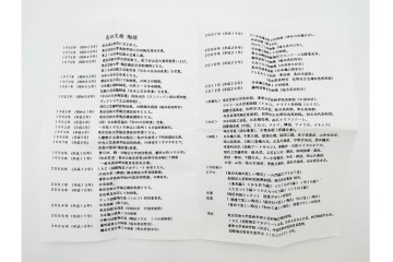 島田文雄作　上品な彩磁牡丹文の茶碗　共箱付き　(R-086821)