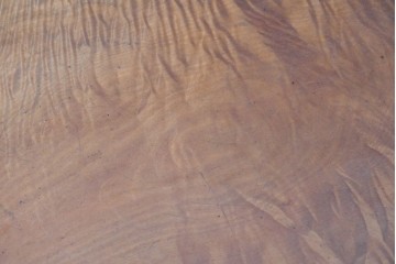 和製アンティーク　栃(トチ)材　希少な縮み杢が使用された飴色の座卓　(R-086848)