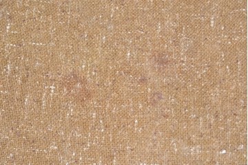 中古　トラックファニチャー(TRUCK FURNITURE)　楢(ナラ)材　ナチュラルな素材感が魅力のTORCH(トーチ)チェア4脚セット　定価(4脚合計)約32万7千円　(R-086861)