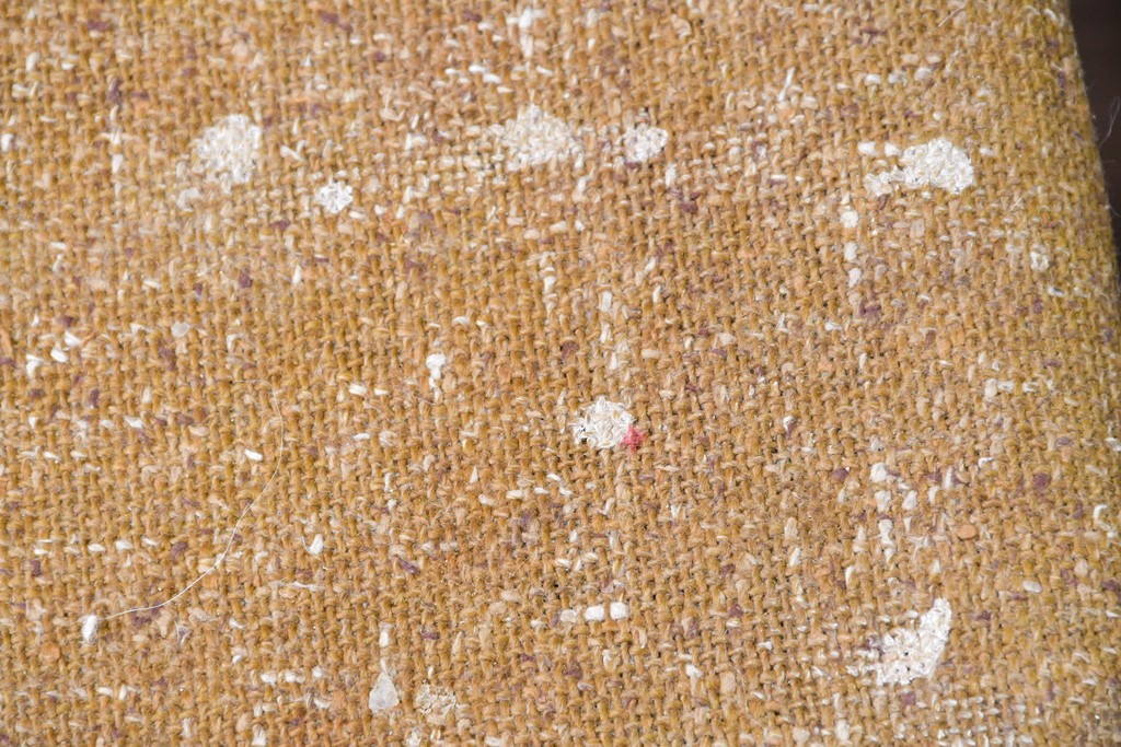 中古　トラックファニチャー(TRUCK FURNITURE)　楢(ナラ)材　ナチュラルな素材感が魅力のTORCH(トーチ)チェア4脚セット　定価(4脚合計)約32万7千円　(R-086861)