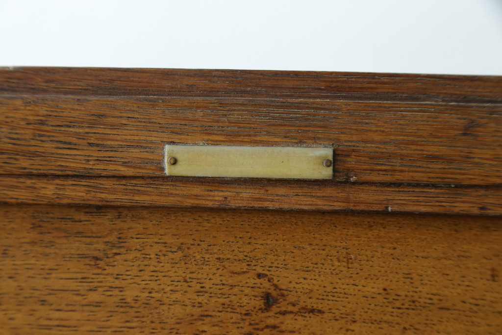 イギリスアンティーク　オーク材　品格と機能美が光るフラップ式ガラス扉の縦型シャツケース　(R-086905)