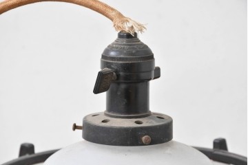 和製アンティーク　昭和初期　木製装飾付き　松に鳥の図柄があしらわれたペンダントライト　(R-086945)