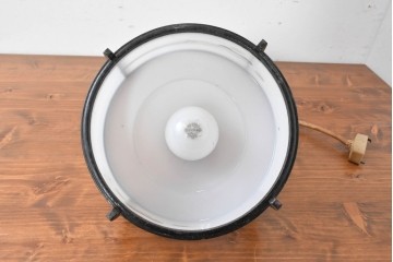 和製アンティーク　昭和初期　木製装飾付き　松に鳥の図柄があしらわれたペンダントライト　(R-086945)