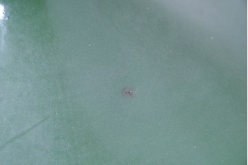 《引っ掛けシーリング式ペンダントライト加工費込み》　フランスアンティーク　大型サイズ　レトロなホーロー製シェードのペンダントライト　(R-086954)