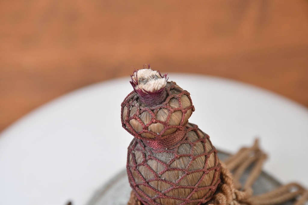 《引っ掛けシーリング式ペンダントライト加工費込み》　和製アンティーク　大正ロマン　タッセル飾りをあしらった丸型ペンダントライト　(R-086955)