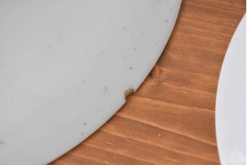 《引っ掛けシーリング式ペンダントライト加工費込み》　ヨーロッパヴィンテージ　シンプルな平笠ペンダントライト2個セット　(R-086958)