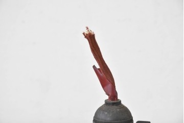 《引っ掛けシーリング式ペンダントライト加工費込み》　和製ヴィンテージ　昭和レトロ　シンプルな平笠ペンダントライト　(R-086965)