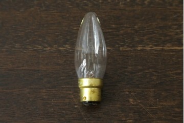 フランスアンティーク　Muller Freres Luneville(ミューラー兄弟)　草花文様が美しいガラスシェードのテーブルランプ　(R-086970)