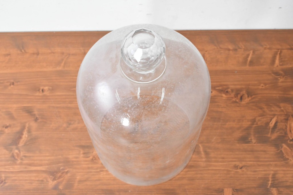 フランスアンティーク　取っ手がアクセントのガラスドーム　(R-086998)