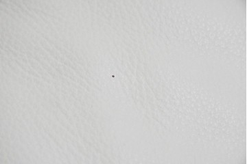 中古　Poltromec(ポルトロメック)社　ジェミニシリーズ　レザー(本革)　包み込まれる座り心地の1人掛けソファ　定価約30万円　(R-087022)