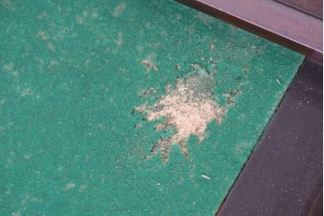 和製アンティーク　薄型引き出しが並ぶレコードケース　(R-087025)