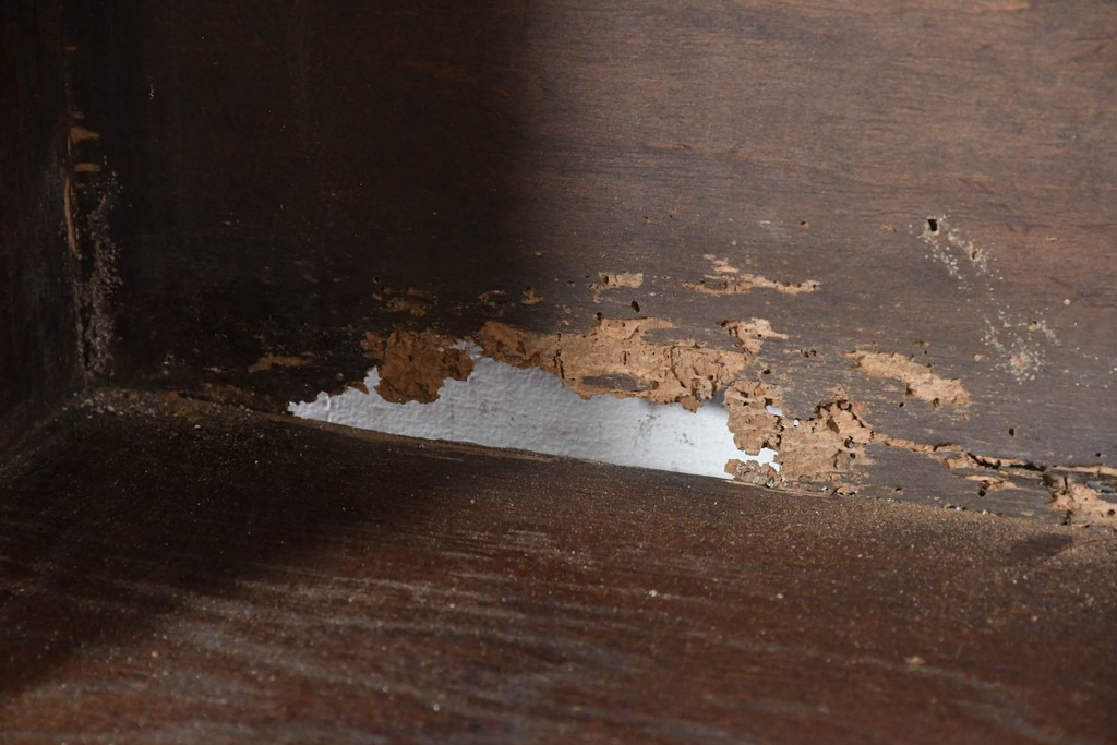 イギリスアンティーク　希少サイズ!!　オーク材　繊細な彫刻が目を引くサイドボード　(R-087029)