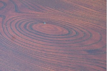 和製ヴィンテージ　最高級!!　国産職人手作り工芸家具　総欅(ケヤキ)材　前板玉杢が美しい総漆塗りの水屋箪笥サイドボード　(R-087048)