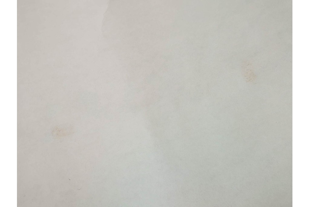 複製　絹本　清王朝　王鐸　「臨張芝帖」の掛け軸　解説釈文書・共箱付き　(R-087082)