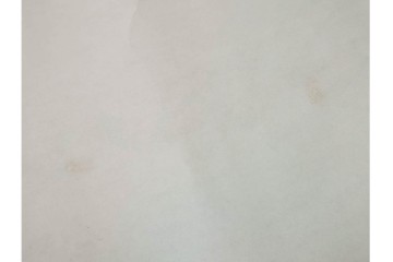 複製　絹本　清王朝　王鐸　「臨張芝帖」の掛け軸　解説釈文書・共箱付き　(R-087082)