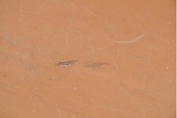 中古　arflex(アルフレックス)　TAVOLO VOLO(タボロ・ボーロ)　シャープなフォルムが印象的なダイニングテーブル　(R-087113)