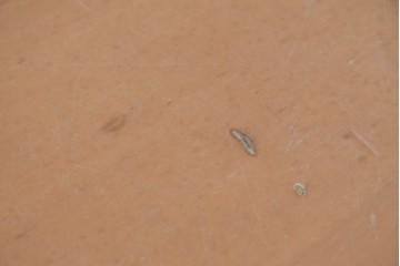 中古　arflex(アルフレックス)　TAVOLO VOLO(タボロ・ボーロ)　シャープなフォルムが印象的なダイニングテーブル　(R-087113)