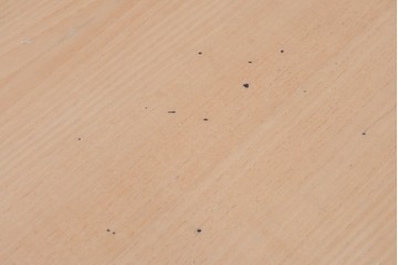 中古　アクタス取り扱い　porada(ポラダ)　KEVIN(ケビン)　アッシュ材　ナチュラルモダンなダイニングテーブル　定価約43万円　(R-087115)