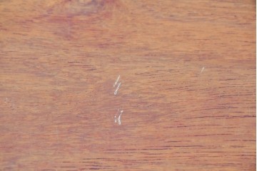 和製ヴィンテージ　天板(花梨材)　脚(タモ材)　一枚板ならではの風合いが魅力のテーブル　(R-087116)