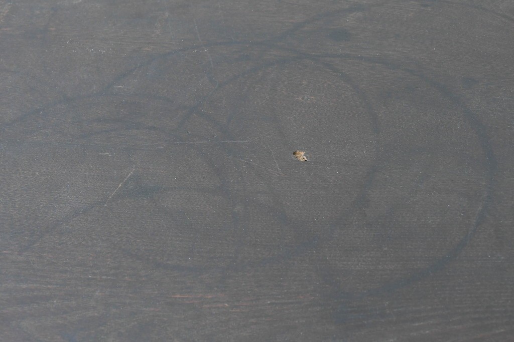 和製アンティーク　大正ロマン　希少デザイン　透かし彫り入りのオクタゴンテーブル　(R-087122)