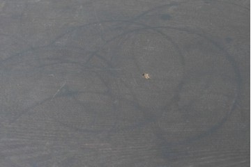 和製アンティーク　大正ロマン　希少デザイン　透かし彫り入りのオクタゴンテーブル　(R-087122)