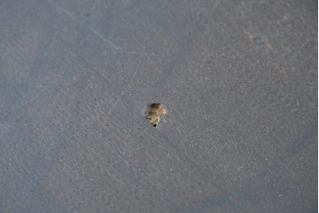 和製アンティーク　大正ロマン　希少デザイン　透かし彫り入りのオクタゴンテーブル　(R-087122)