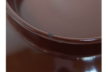 戦前　当時物　木製・輪島塗　蒔絵で描かれた鶴松図が優美なお椀5点セット　共箱付き　(R-087187)