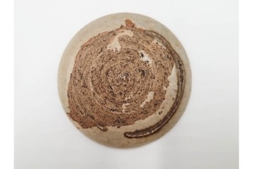 時代物　瀬戸焼　絵皿( 2.9寸)　豆皿(2.1寸)　灯明皿( 2.1寸)　和皿18点セット　(R-087194)