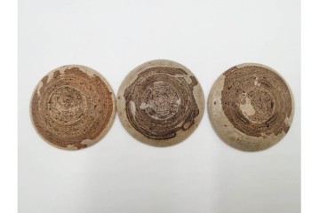 時代物　瀬戸焼　絵皿( 2.9寸)　豆皿(2.1寸)　灯明皿( 2.1寸)　和皿18点セット　(R-087194)