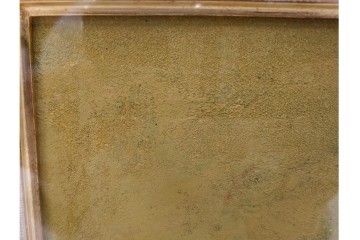 真作　小口卓也作　油彩　F0号　「かき」　鮮やかな朱色が印象的な絵画　(R-087202)